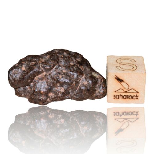 Meteorite CR2 Carbonaceous chondrite Rare NWA 14870 Wonderful 9.59 G Fragment! - MeteoriteNwa.com