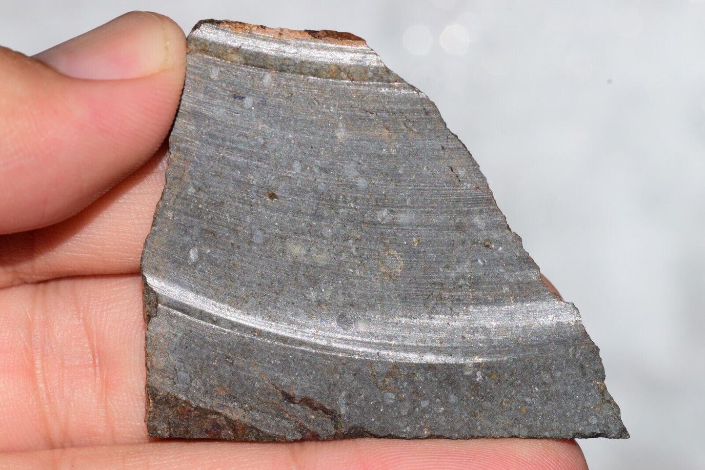 Meteorite Chondrite LL3 NWA 14224 Slice 20.9G with fine-grained dark gray matrix - MeteoriteNwa.com