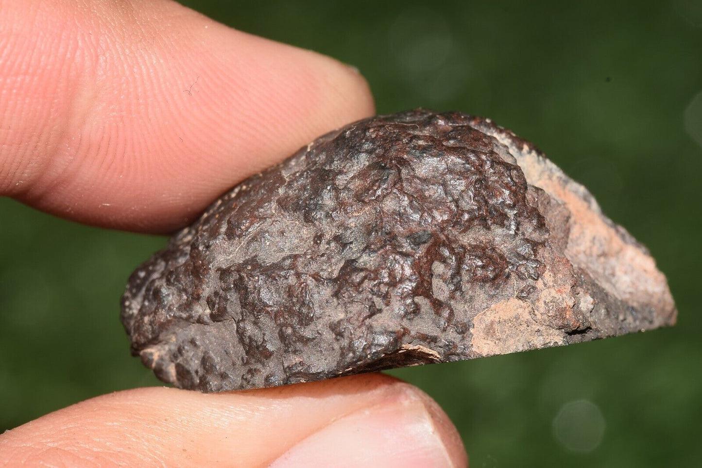 Meteorite chondrite Brownish L6 15406 Endcut 23.6 g - MeteoriteNwa.com