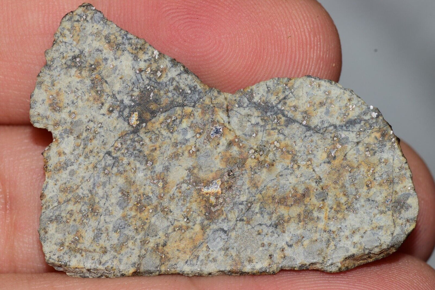 Meteorite Chondrite LL6 NWA 14225 Slice 9.06G with black shock melt veins. W COA - MeteoriteNwa.com