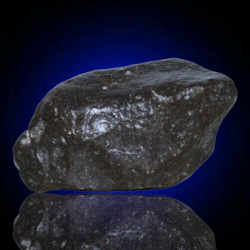 Meteorite chondrite Ordinary H4 NWA 14003 Complete fragment - 229.8g - MeteoriteNwa.com