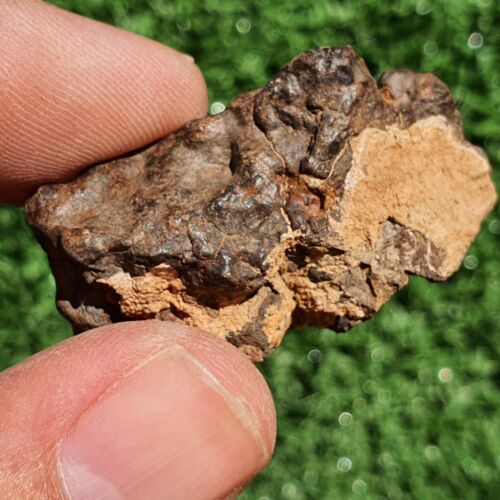 Meteorite Chondrite LL7 NWA 15408 Endcut 26G Brownish rock - MeteoriteNwa.com