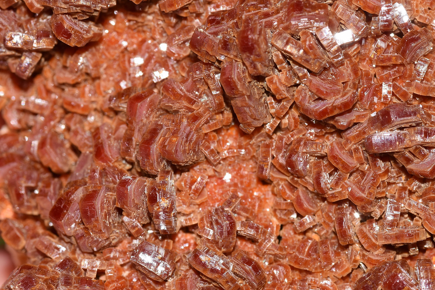 Vanadinite Mineral on Matrix Red Orange Genuine Crystals from Morocco Raw Druzy Natural Specimen Earth Chakra Grounding Gemstone - MeteoriteNwa.com