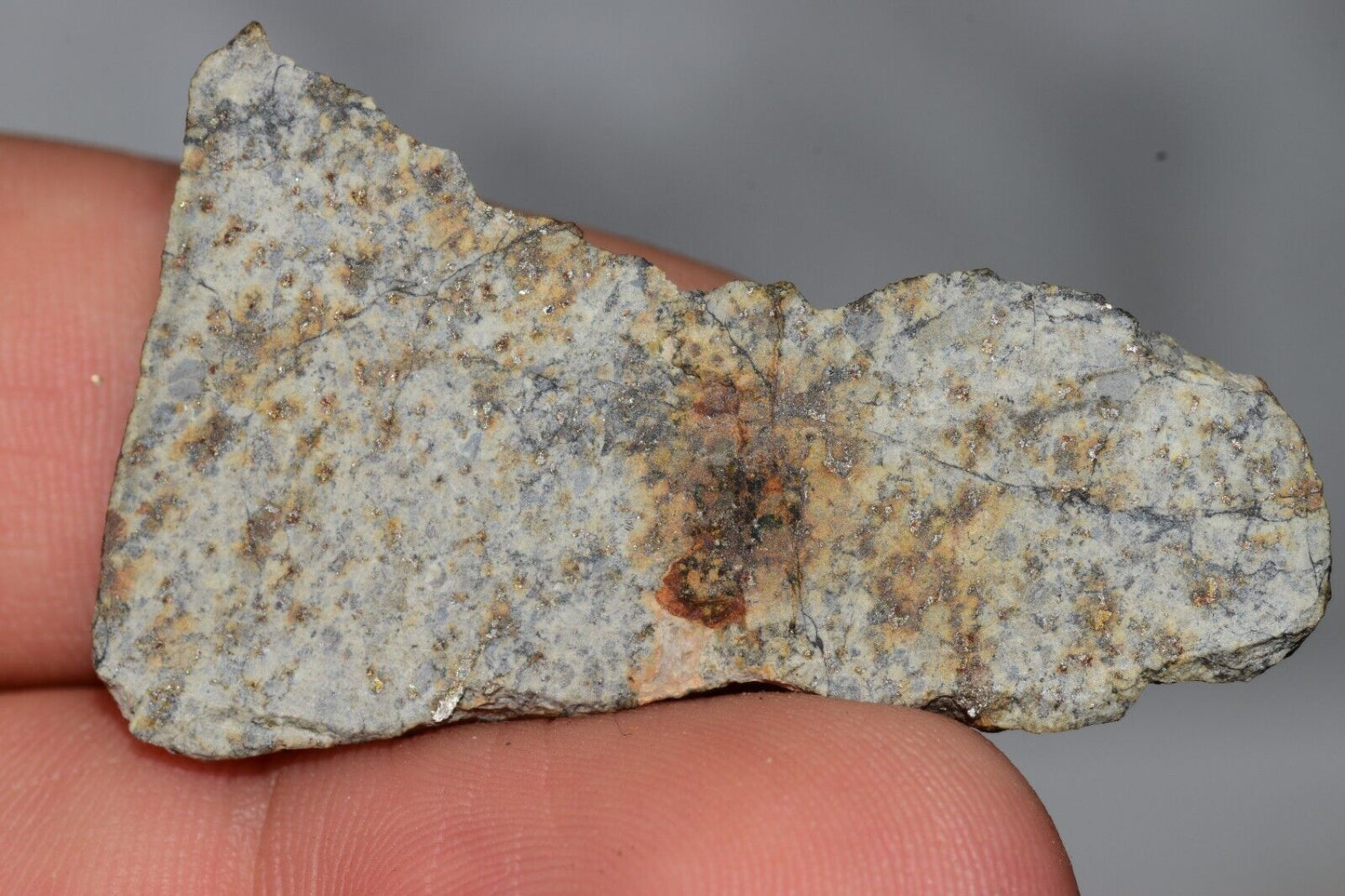 Meteorite Chondrite LL6 NWA 14225 Slice 7.11G with black shock melt veins. W COA - MeteoriteNwa.com