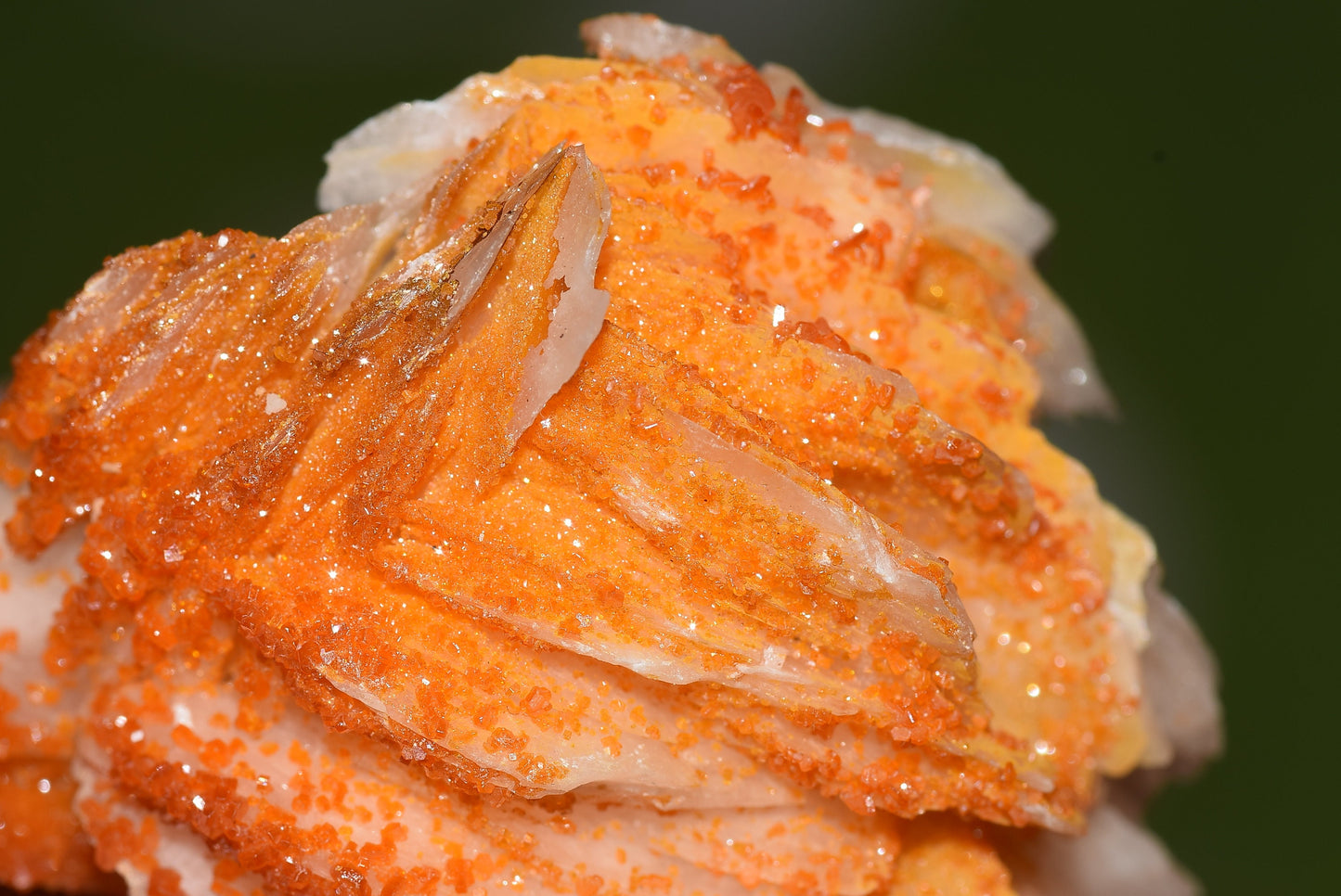 Vanadinite Mineral on Matrix Red Orange Genuine Crystals from Morocco Raw Druzy Natural Specimen Earth Chakra Grounding Gemstone - MeteoriteNwa.com
