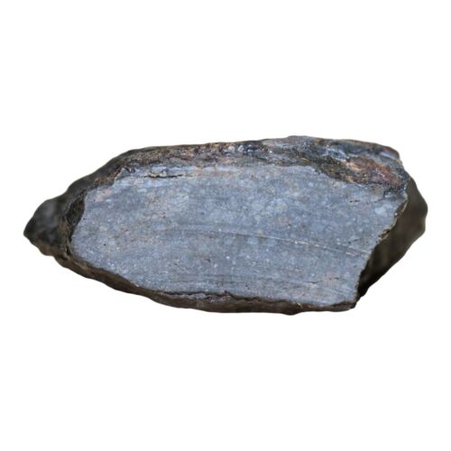 Rare Meteorite Chondrite L3 Melt Breccia NWA 14886 - Only 5 in the World - 80.8g - MeteoriteNwa.com