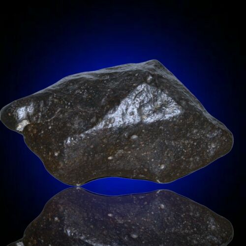 Meteorite chondrite Ordinary H4 NWA 14003 Complete fragment - 229.8g - MeteoriteNwa.com