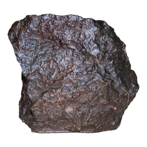 Rare Meteorite Chondrite L3 Melt Breccia NWA 14886 - Only 5 in the World - 80.8g - MeteoriteNwa.com