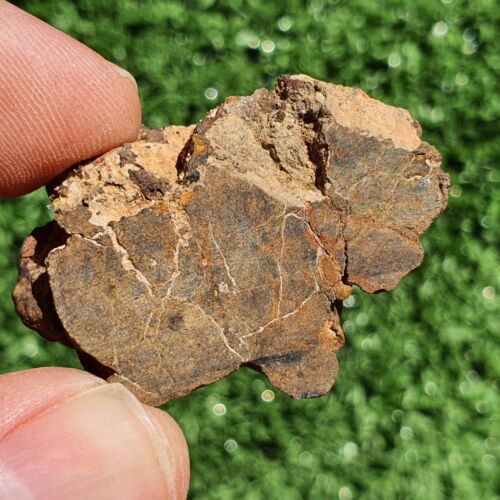 Meteorite Chondrite LL7 NWA 15408 Endcut 26G Brownish rock - MeteoriteNwa.com