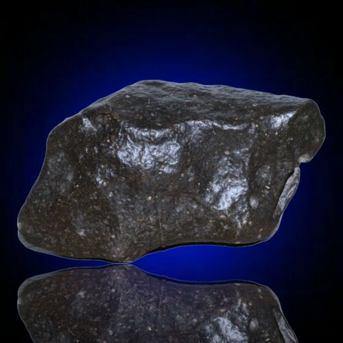 Meteorite chondrite Ordinary H4 NWA 14003 Complete fragment - 229.8g - MeteoriteNwa.com