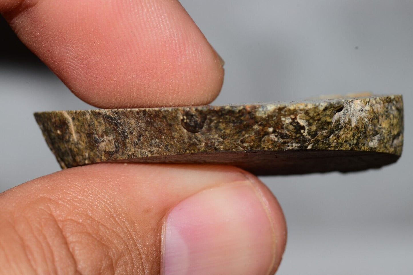 Meteorite Chondrite LL6 NWA 14225 Slice 15.9G with black shock melt veins. W COA - MeteoriteNwa.com