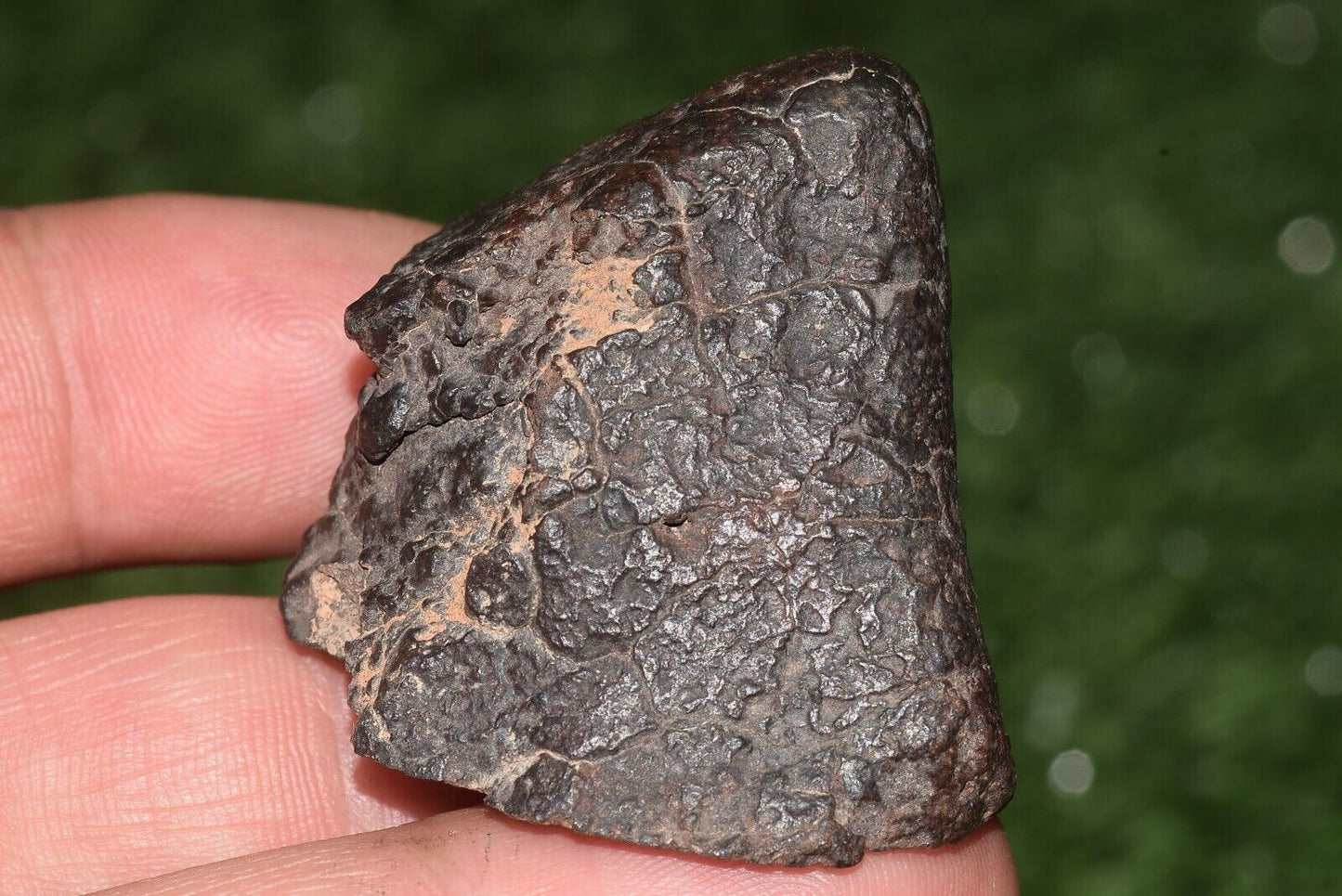 Meteorite chondrite Brownish L6 Nwa 15406 Main Mass 49 g - MeteoriteNwa.com