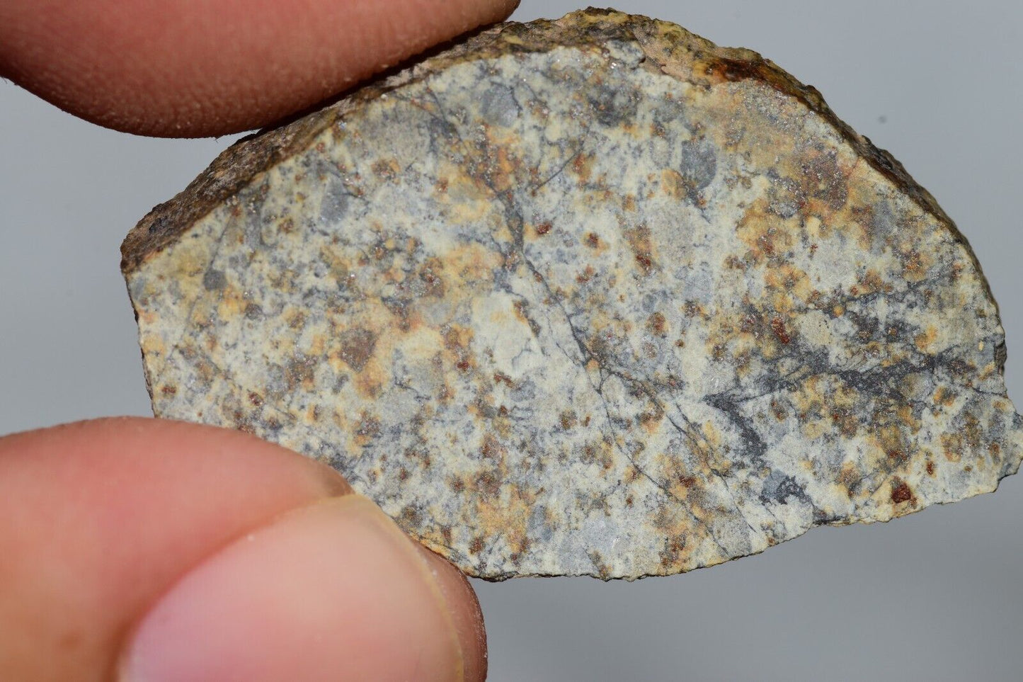 Meteorite Chondrite LL6 NWA 14225 Slice 3.51G with black shock melt veins. W COA - MeteoriteNwa.com