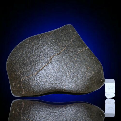 Meteorite chondrite Ordinary H4 NWA 14003 Main Mass - 627 g - MeteoriteNwa.com