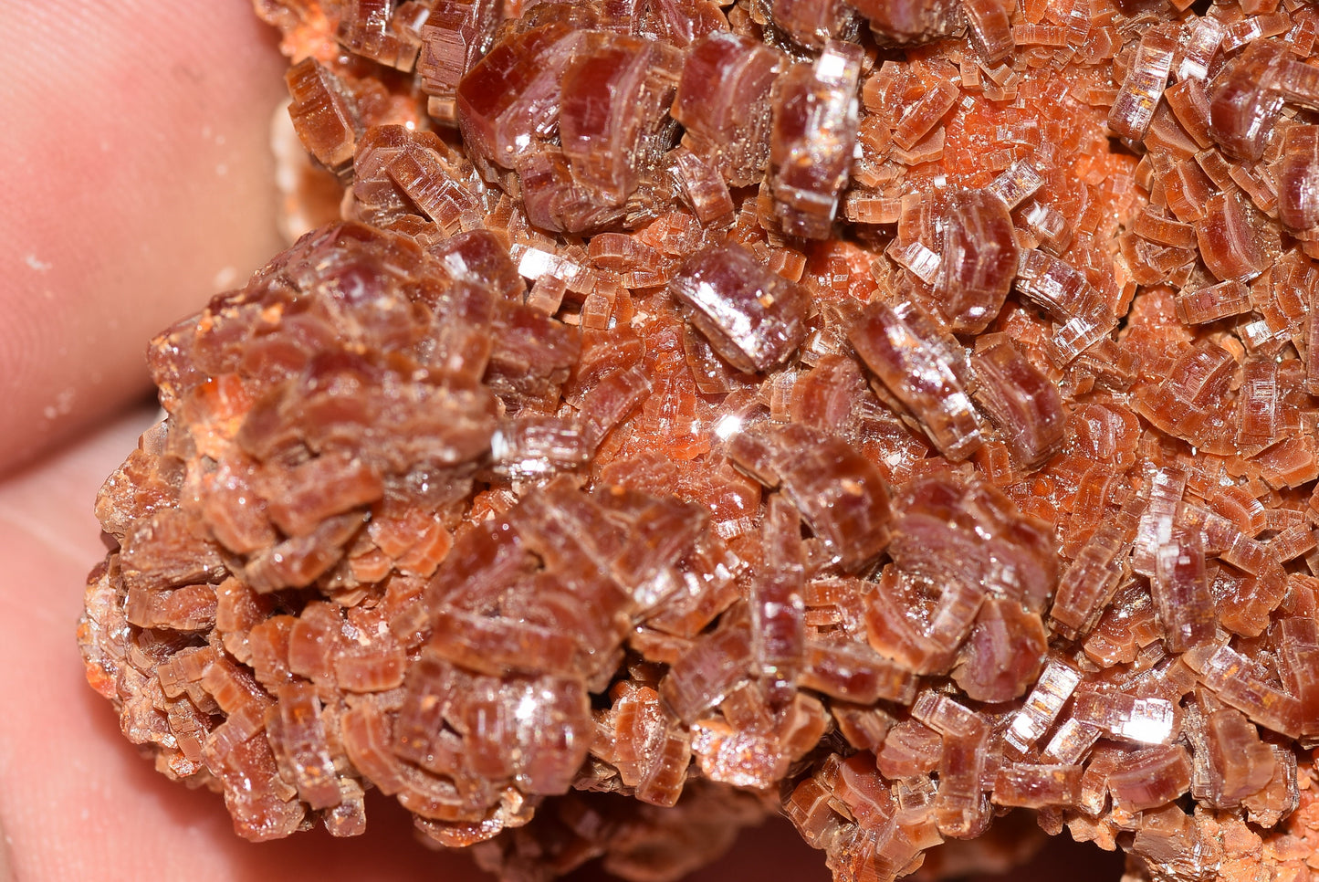 Vanadinite Mineral on Matrix Red Orange Genuine Crystals from Morocco Raw Druzy Natural Specimen Earth Chakra Grounding Gemstone - MeteoriteNwa.com