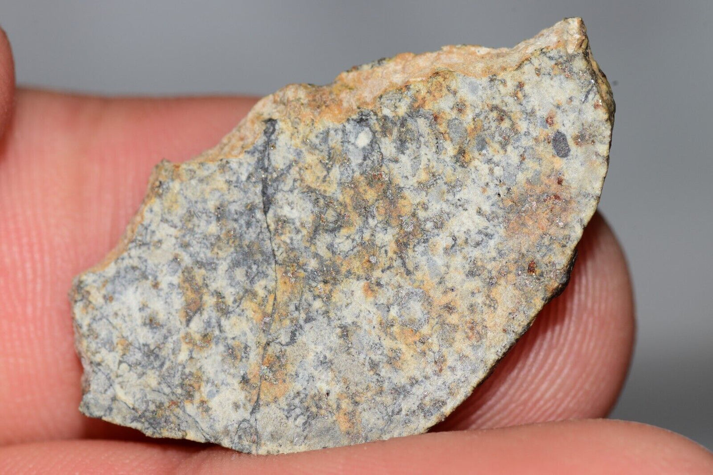 Meteorite Chondrite LL6 NWA 14225 Slice 3.32G with black shock melt veins. W COA - MeteoriteNwa.com
