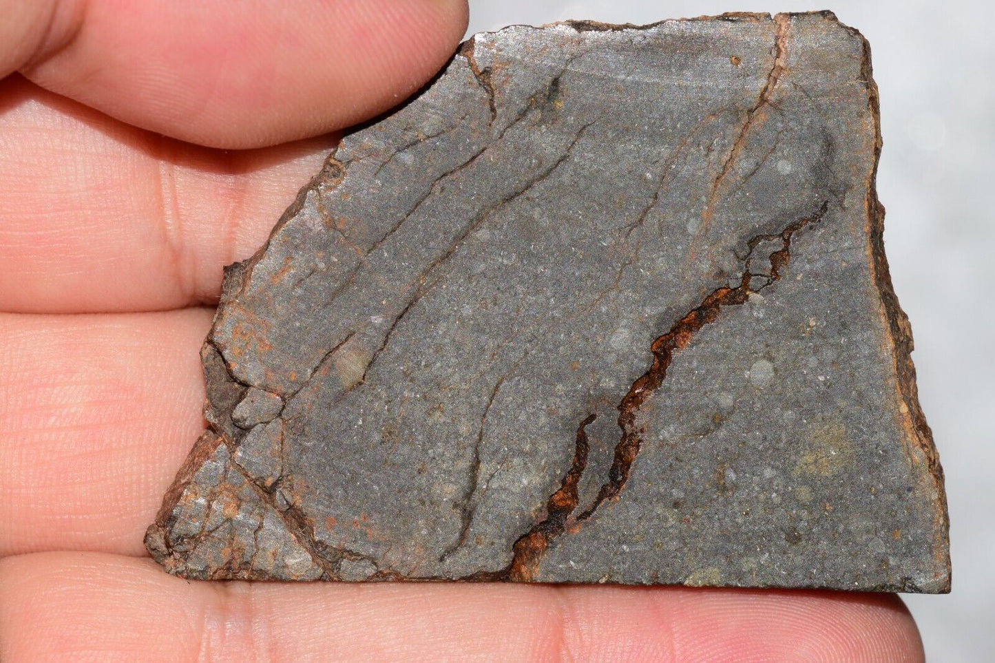 Meteorite Chondrite LL3 NWA 14224 Slice 29.7G with fine-grained dark gray matrix - MeteoriteNwa.com