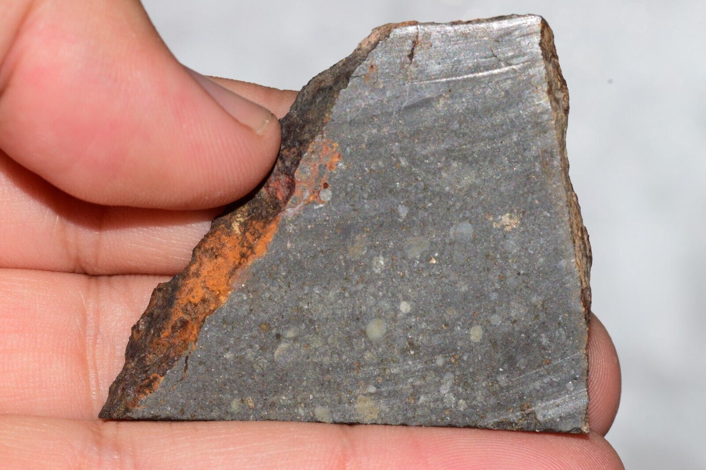 Meteorite Chondrite LL3 NWA 14224 Slice 20.9G with fine-grained dark gray matrix - MeteoriteNwa.com