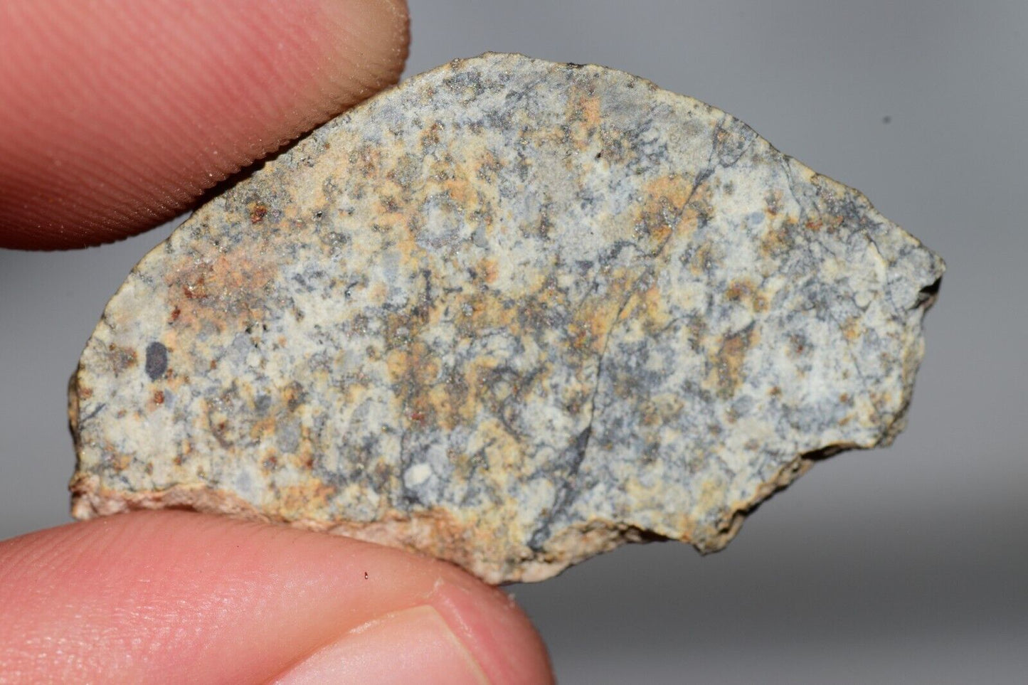Meteorite Chondrite LL6 NWA 14225 Slice 3.32G with black shock melt veins. W COA - MeteoriteNwa.com