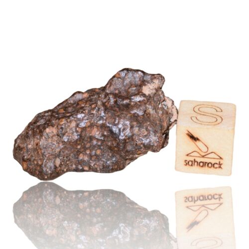 Meteorite CR2 Carbonaceous chondrite Rare NWA 14870 Wonderful 9.03 G Fragment! - MeteoriteNwa.com