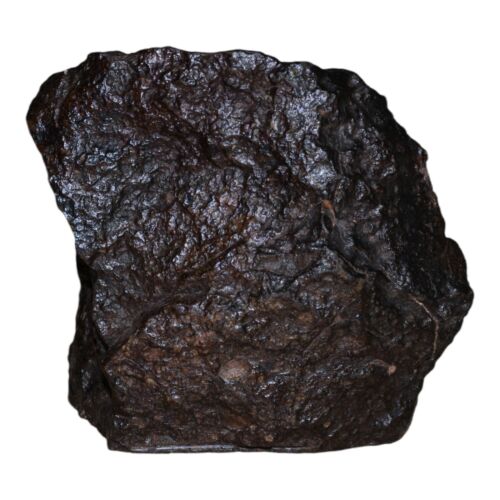 Rare Meteorite Chondrite L3 Melt Breccia NWA 14886 - Only 5 in the World - 80.8g - MeteoriteNwa.com