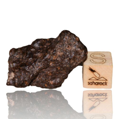Meteorite CR2 Carbonaceous chondrite Rare NWA 14870 Wonderful 9.03 G Fragment! - MeteoriteNwa.com