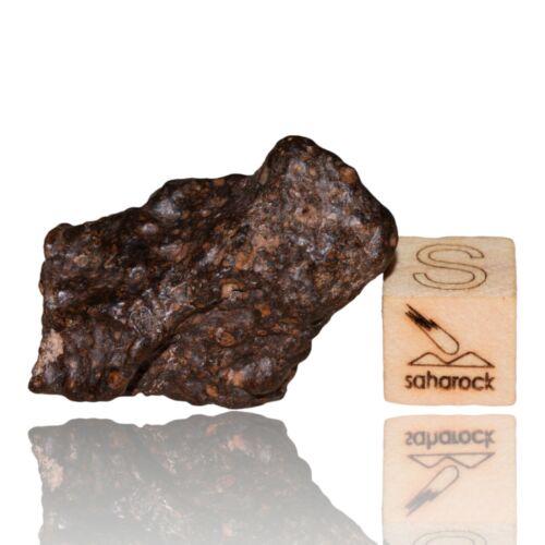 Meteorite CR2 Carbonaceous chondrite Rare NWA 14870 Wonderful 9.03 G Fragment! - MeteoriteNwa.com