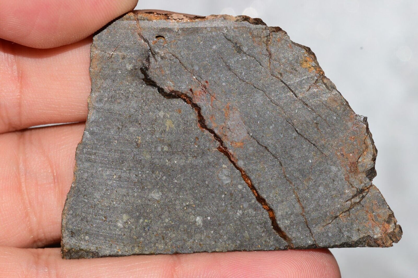 Meteorite Chondrite LL3 NWA 14224 Slice 29.7G with fine-grained dark gray matrix - MeteoriteNwa.com