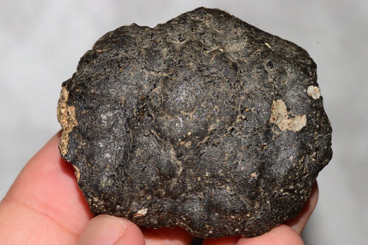 How-to-Hunt-for-Meteorites-A-Beginner-s-Guide MeteoriteNwa.com
