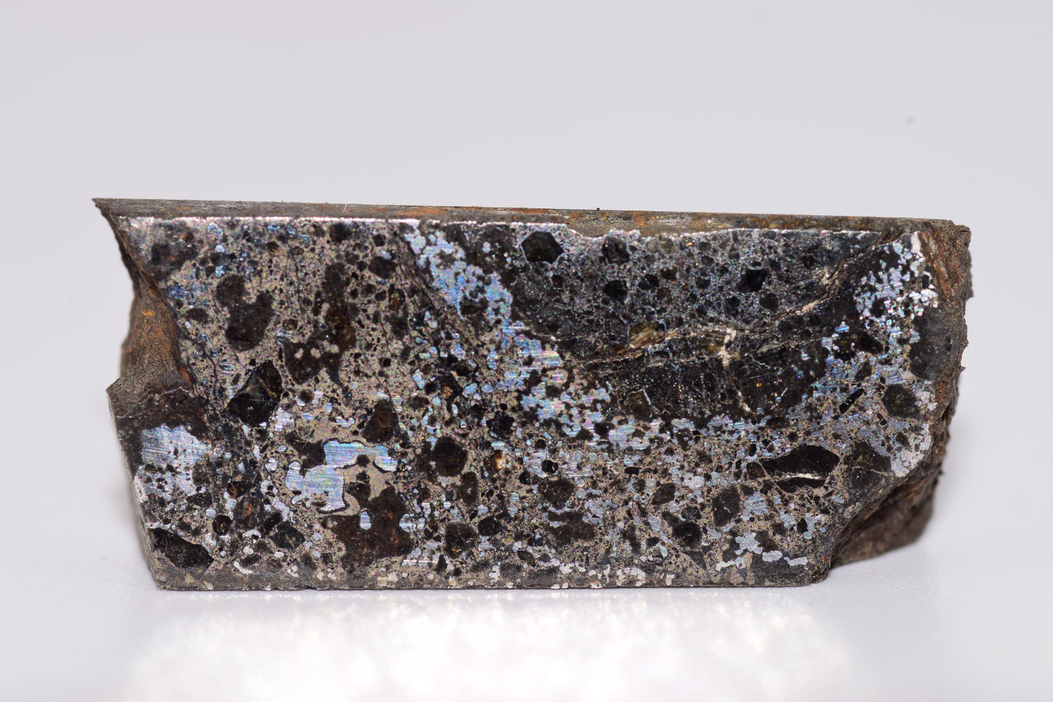 Stony-Iron-Meteorites MeteoriteNwa.com