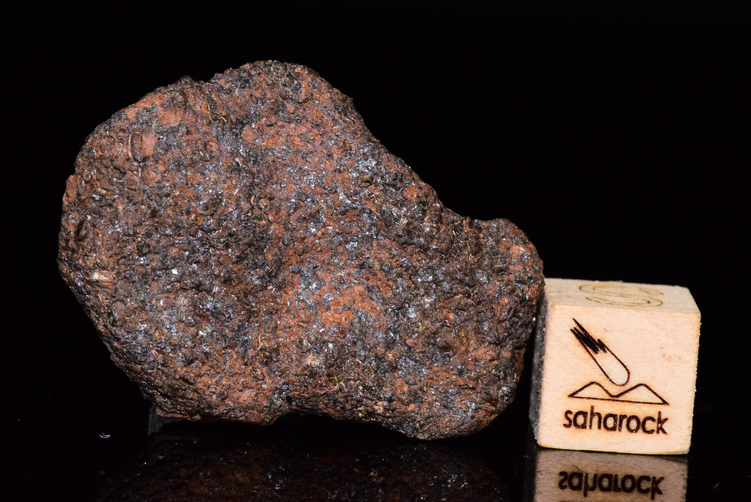 NWA 13725 Ureilite MeteoriteNwa.com