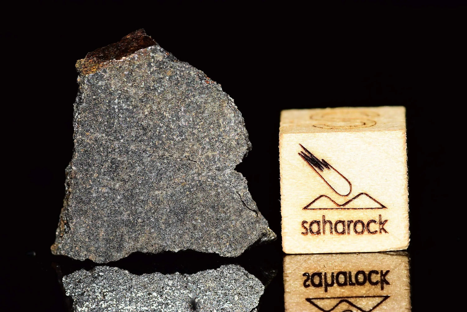NWA 11667 ENSTATITE - Saharock.com