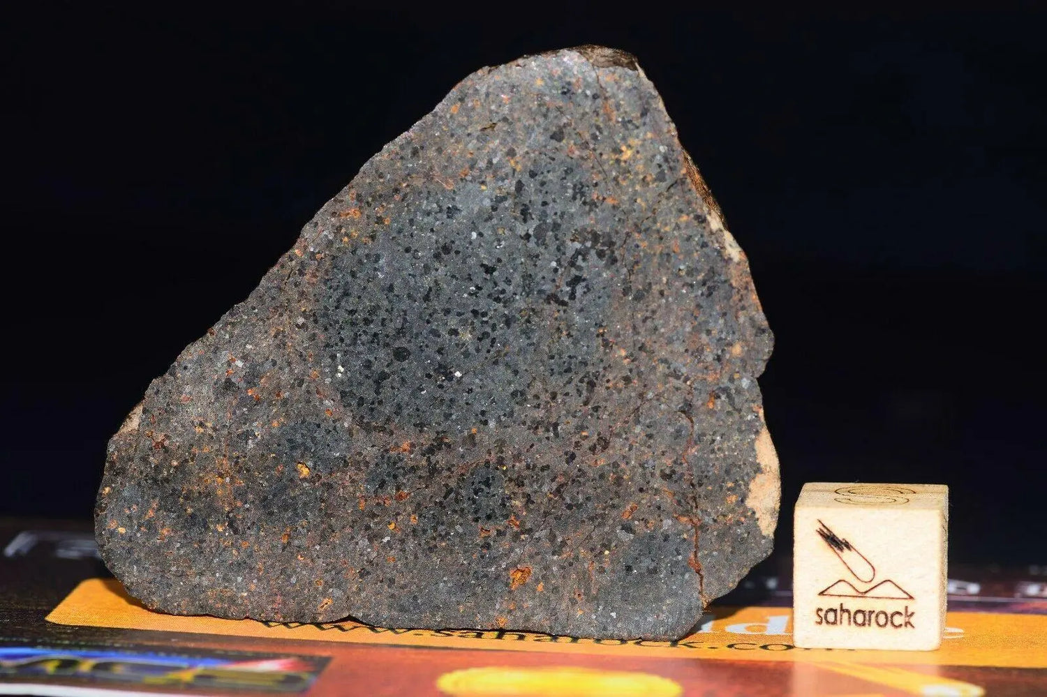 NWA 11756 Brachinite - Saharock.com