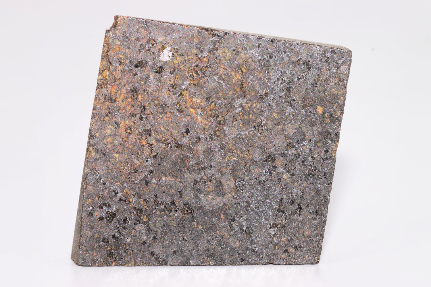 NWA 11757 UREILITE - Saharock.com