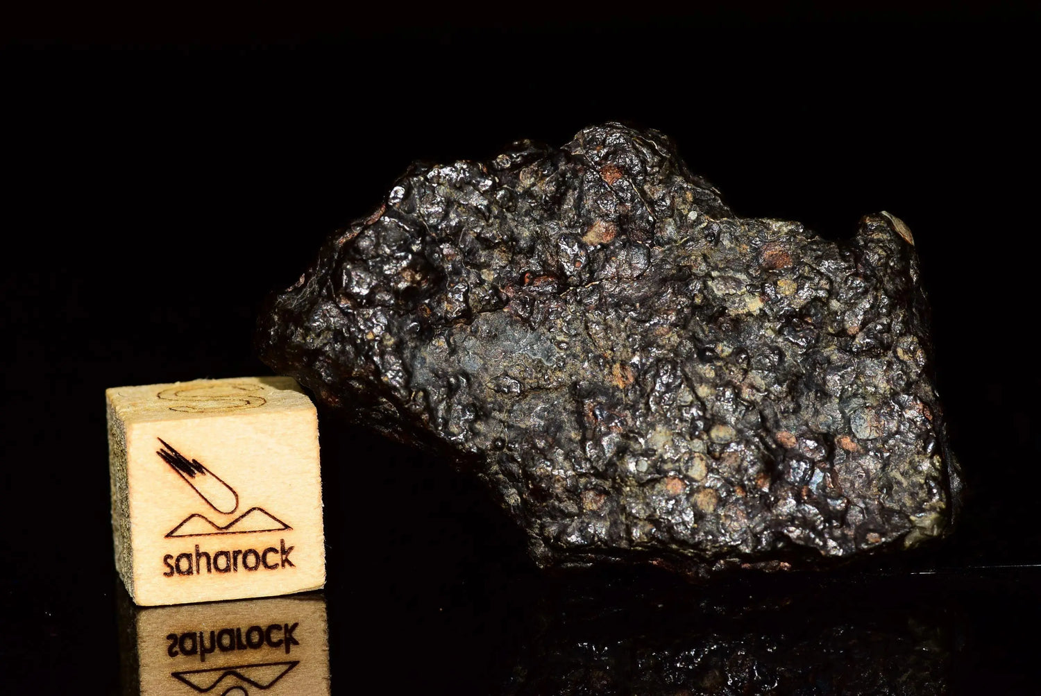 NWA 12343 CV3 - Saharock.com