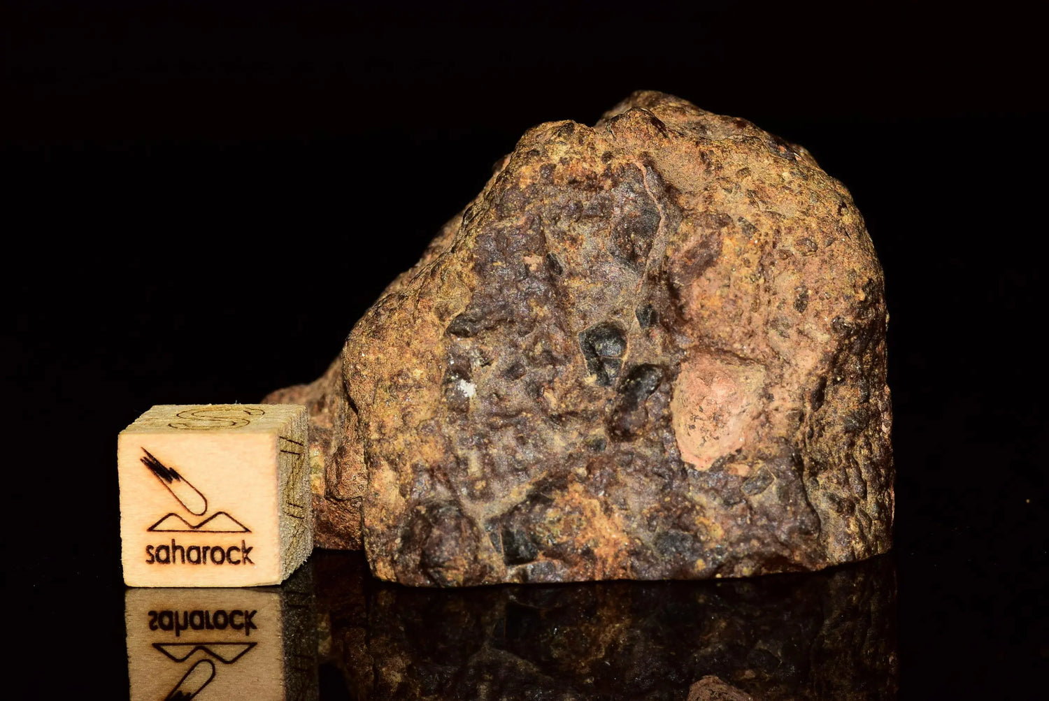 NWA 12589 Brecciated LL7 - Saharock.com