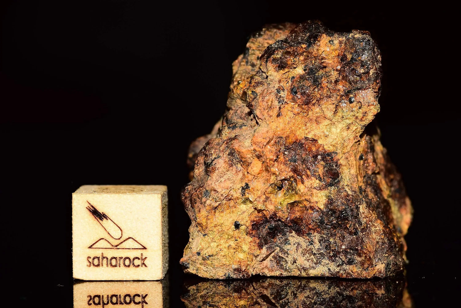 NWA 13692 Diogenite - Saharock.com