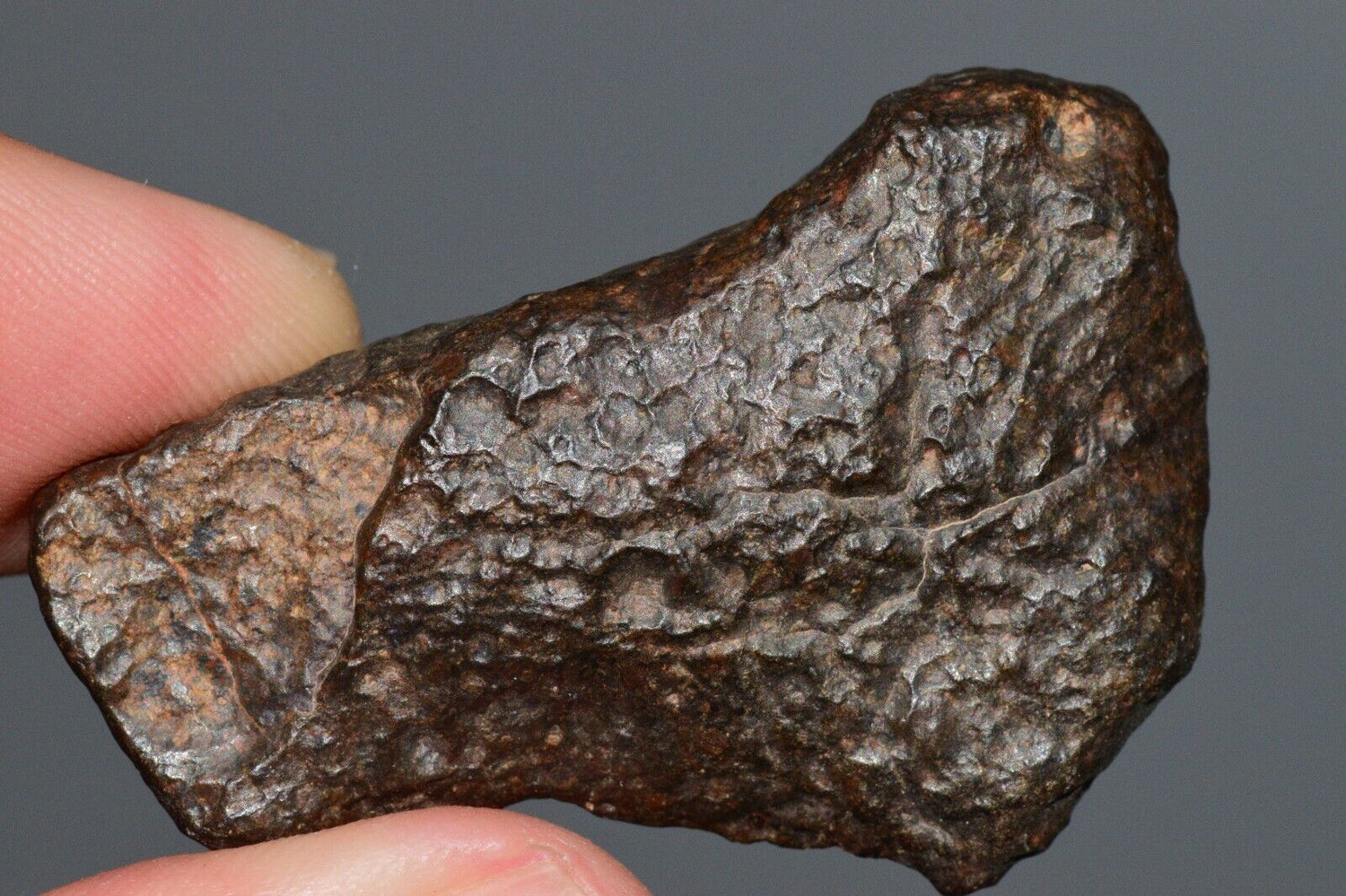 NWA 13272 Ungrouped MeteoriteNwa.com
