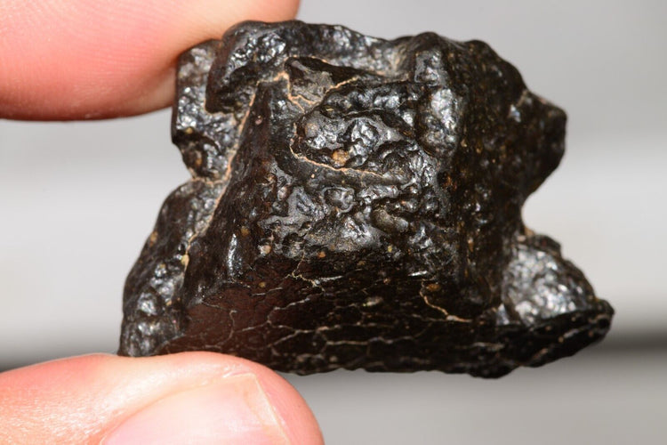 NWA 14406 Ck3 MeteoriteNwa.com
