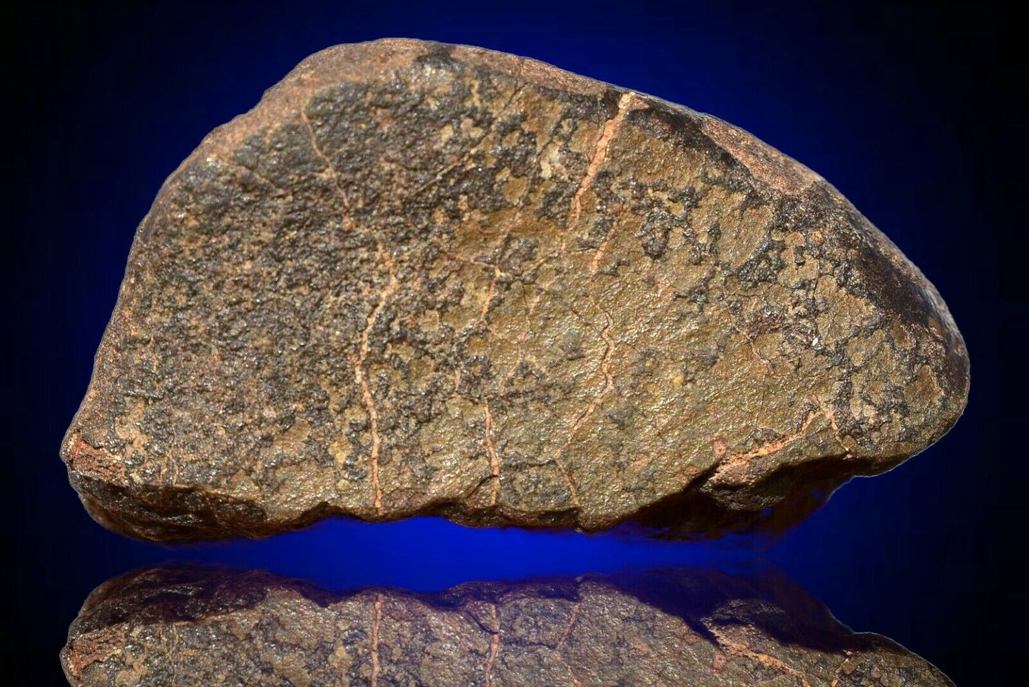 NWA 14235 EL melt rock MeteoriteNwa.com