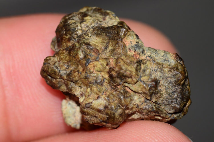 NWA 14230 Diogenite MeteoriteNwa.com