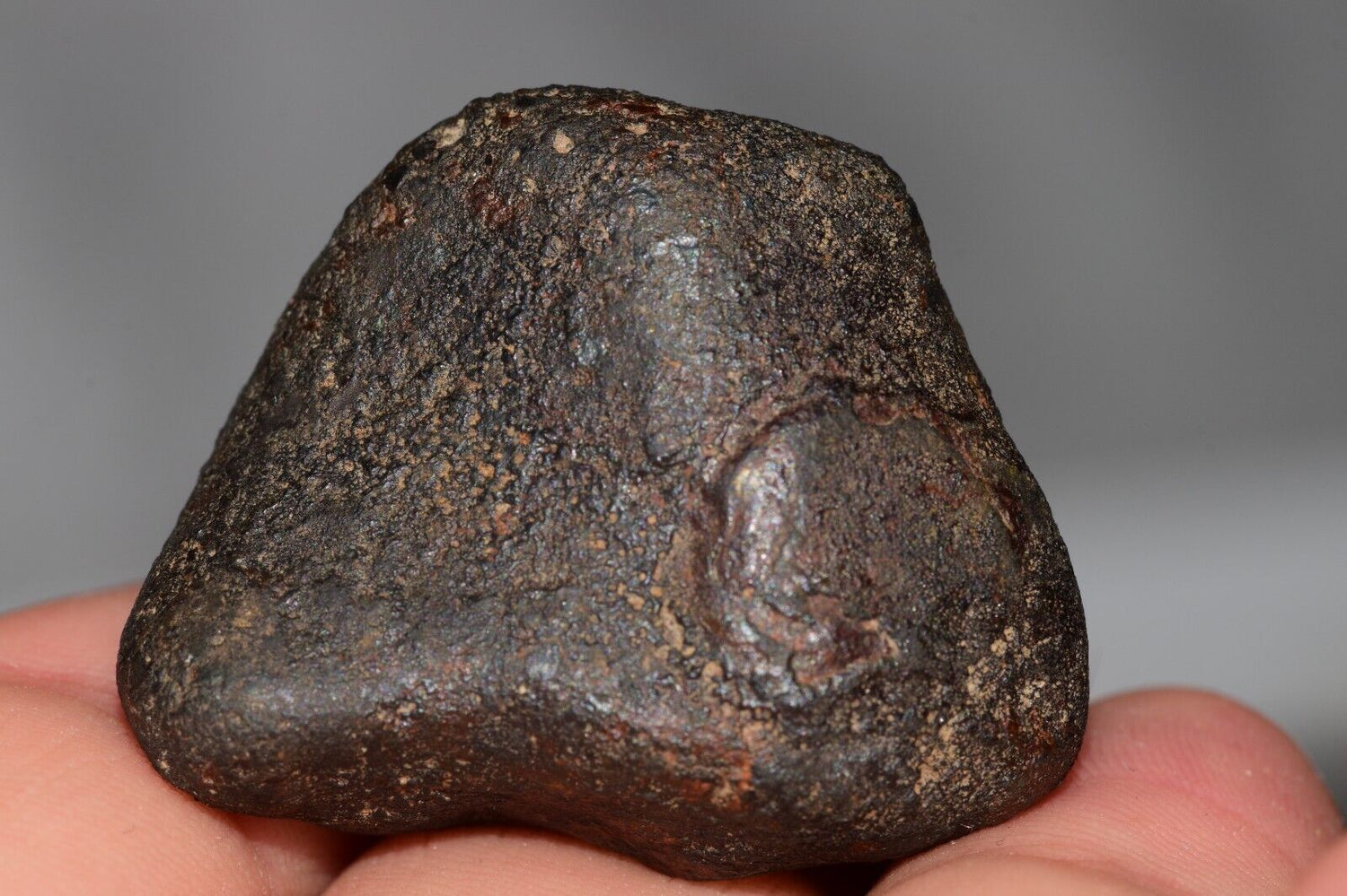 NWA 14238 Mesosiderite MeteoriteNwa.com