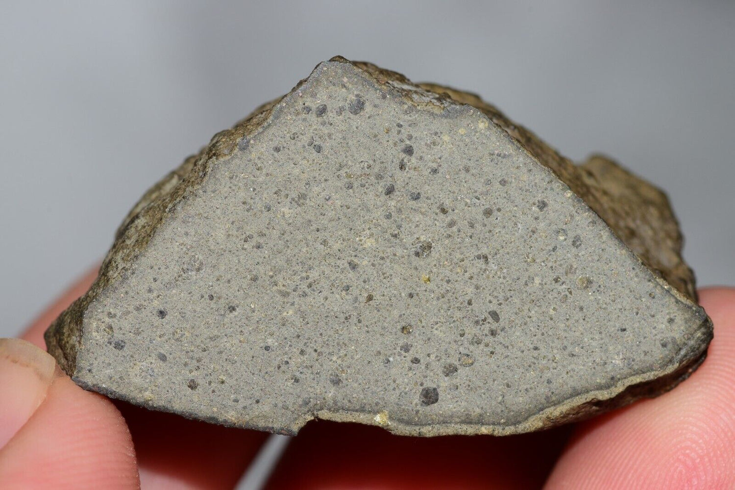 NWA 14237 R4-6 MeteoriteNwa.com