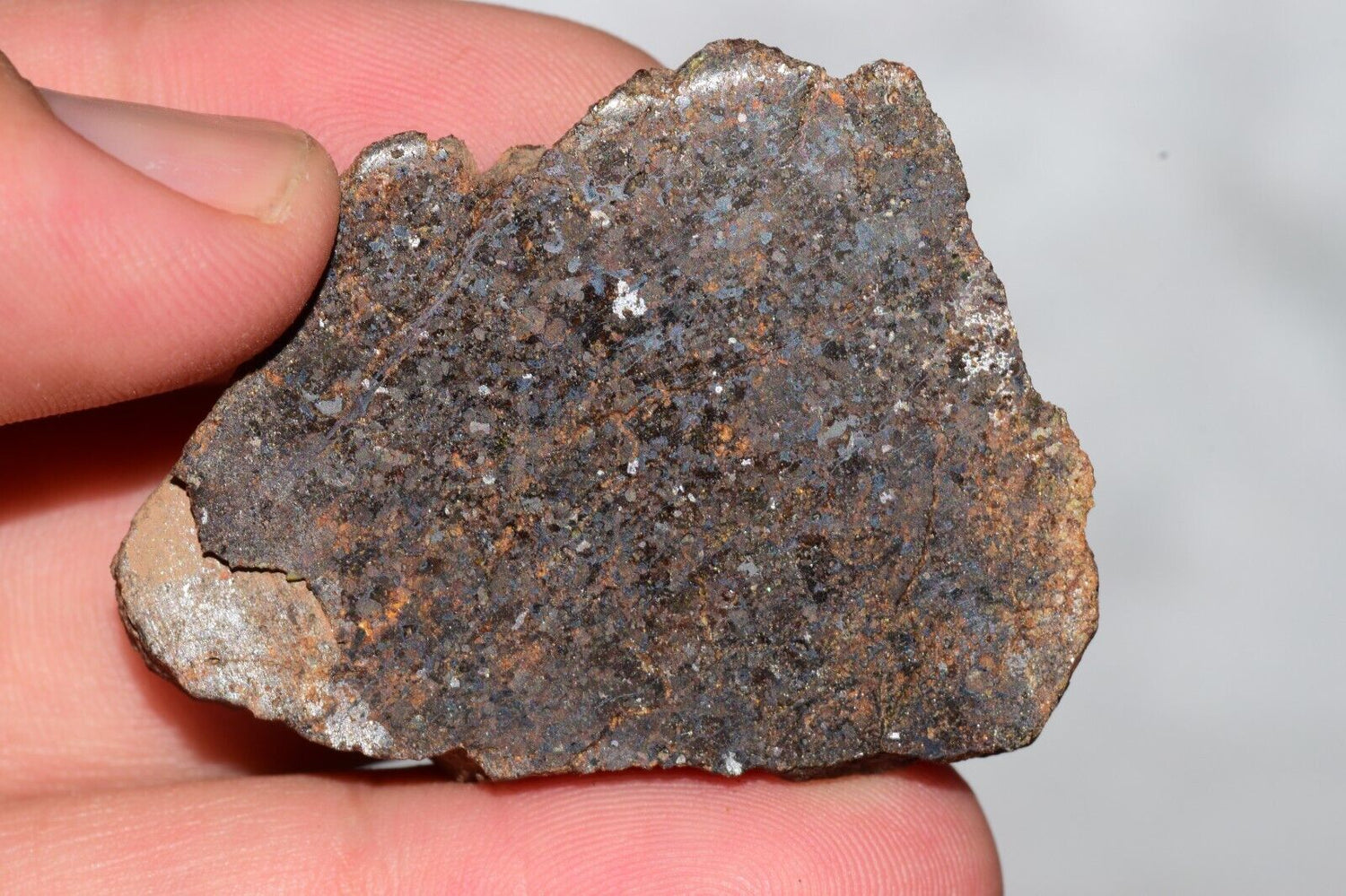 NWA 14234 H7 MeteoriteNwa.com