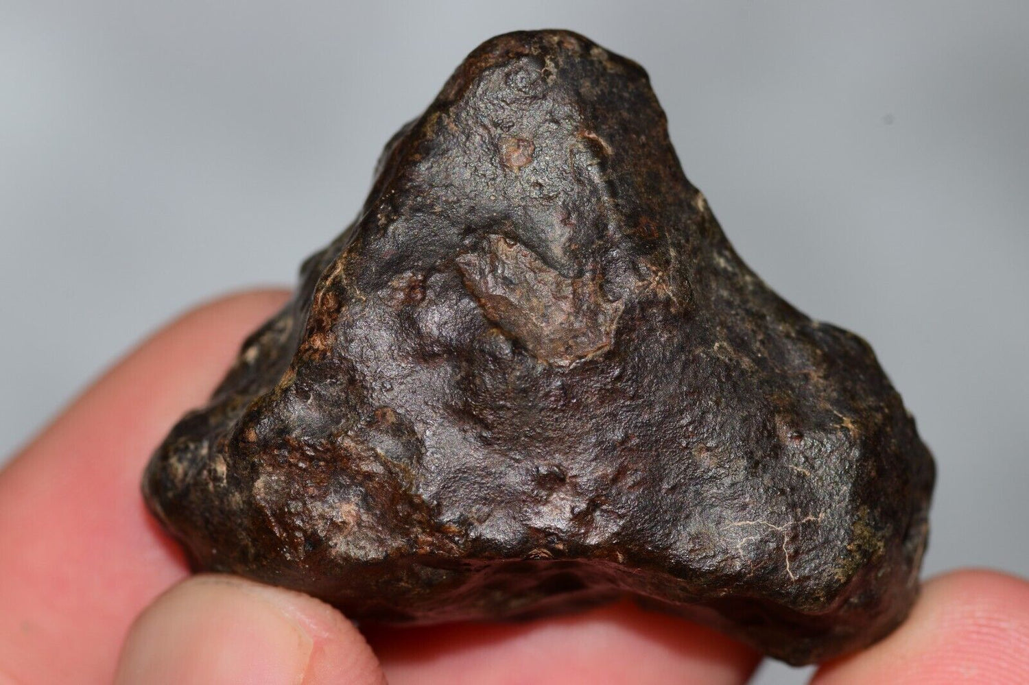 Nwa 14229 L4 MeteoriteNwa.com