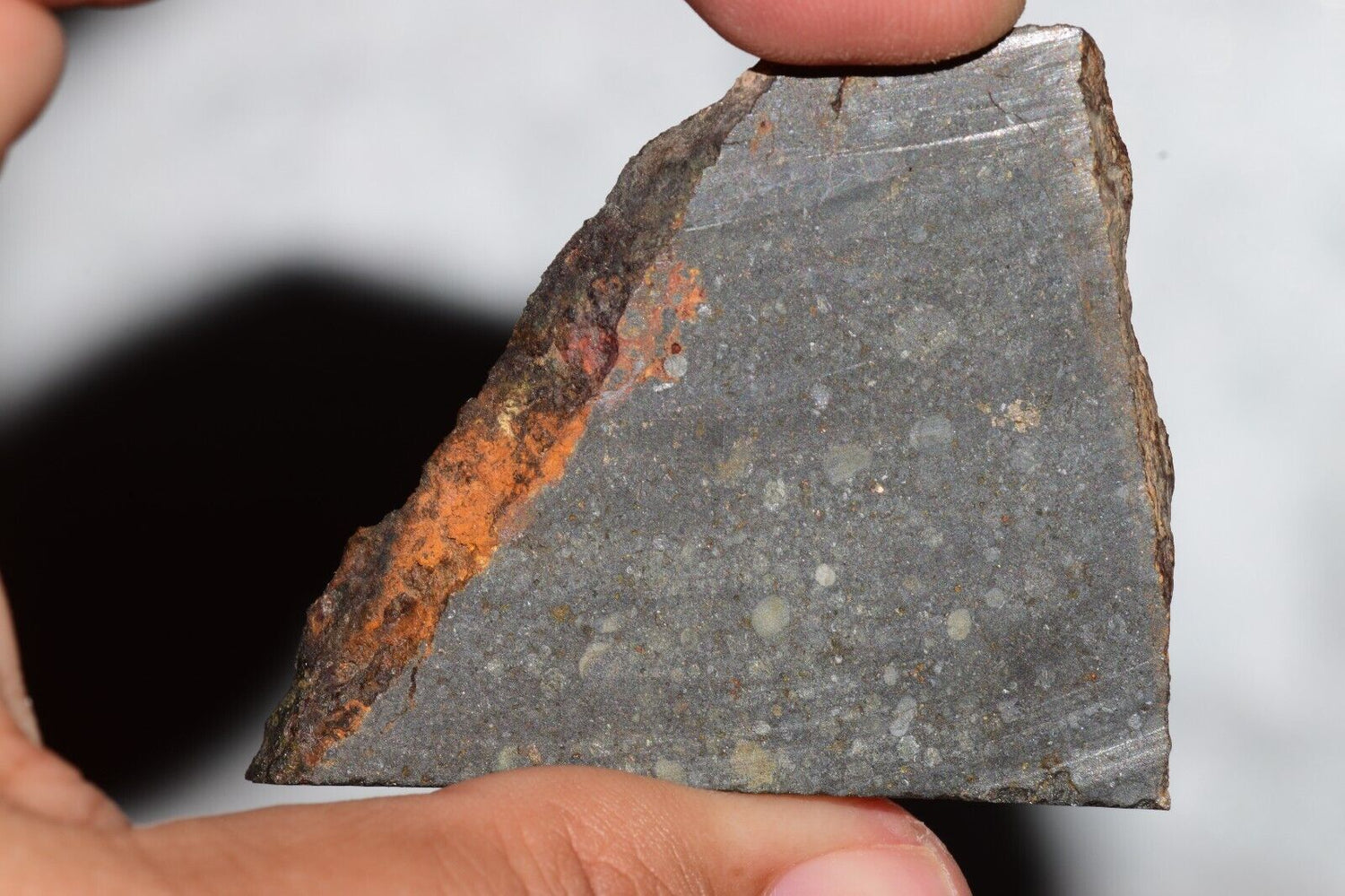 NWA 14224 LL3 MeteoriteNwa.com