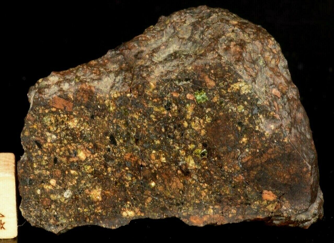 NWA 14228 Ureilite Polymict MeteoriteNwa.com