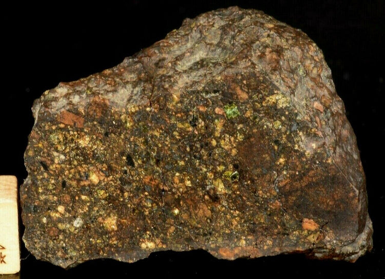 NWA 14228 Ureilite Polymict MeteoriteNwa.com