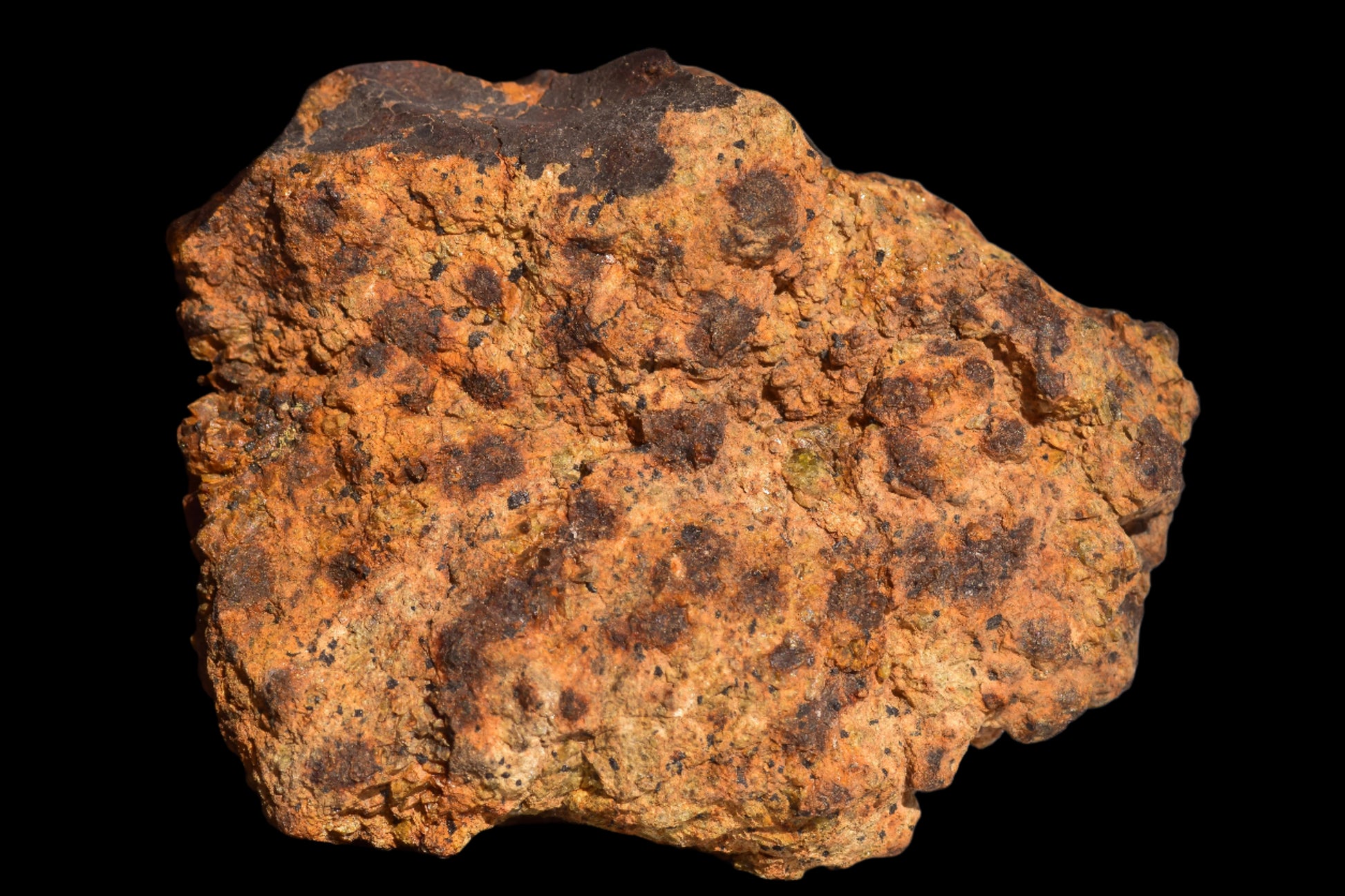 Meteorite for Sale : Diogenite NWA 13692