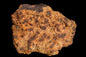 Meteorite for Sale : Diogenite NWA 13692